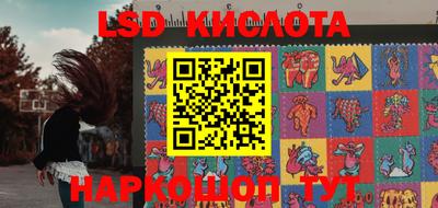 гашик Можга