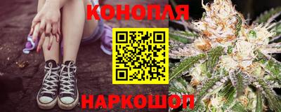 СК Моздок