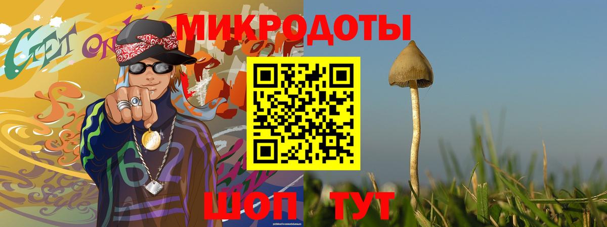 Славгород  Галлюциногенные грибы Psilocybine cubensis  Вход с VPN 